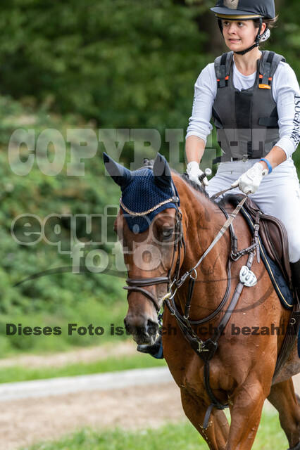 Late-Entry-Vielseitigkeit Langenfeld (06.+07.07.2020)