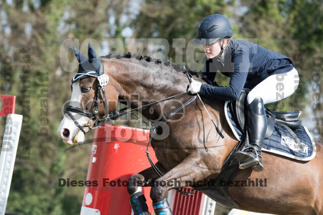 Frühjahrsvielseitigkeit RV Seydlitz Kamp