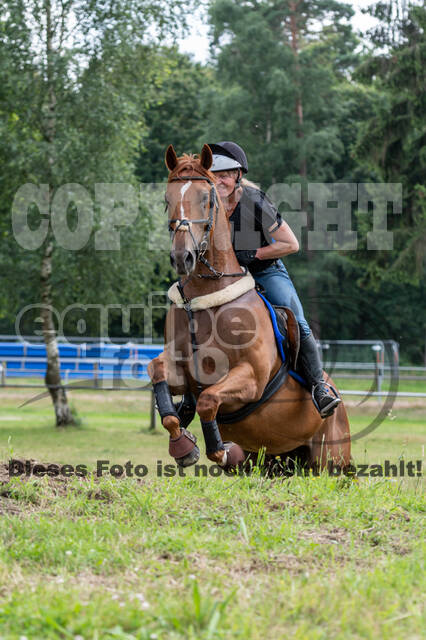 Hunter Geländetraining 10.07.2021 (Sonsbeck)