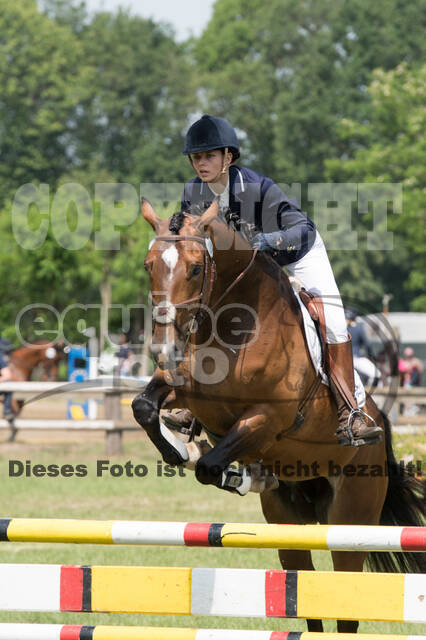 Vielseitigkeitsturnier ZRuFV von Lützow Hamminkeln
