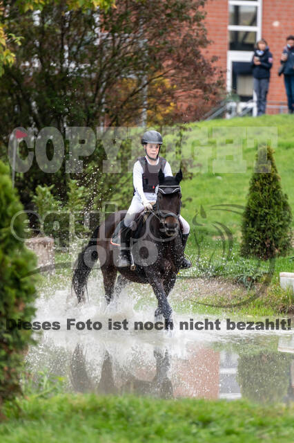 Goldene Schärpe 2020 - Pferde