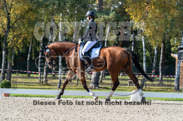 Deutsche Meisterschaft Vielseitigkeit (Luhmühlen)