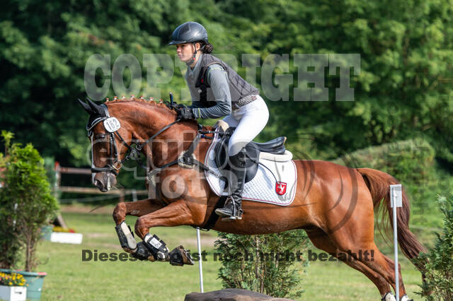 Goldene Schärpe 2021 - Ponys