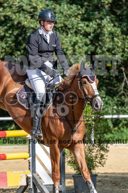 RFV Dinslaken-Hiesfeld (Herbstturnier)