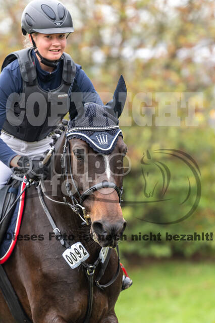 Goldene Schärpe 2020 - Pferde