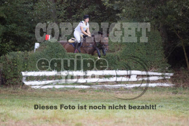 Vielseitigkeitsturnier RSV St. Hubertus Wesel Obrighoven