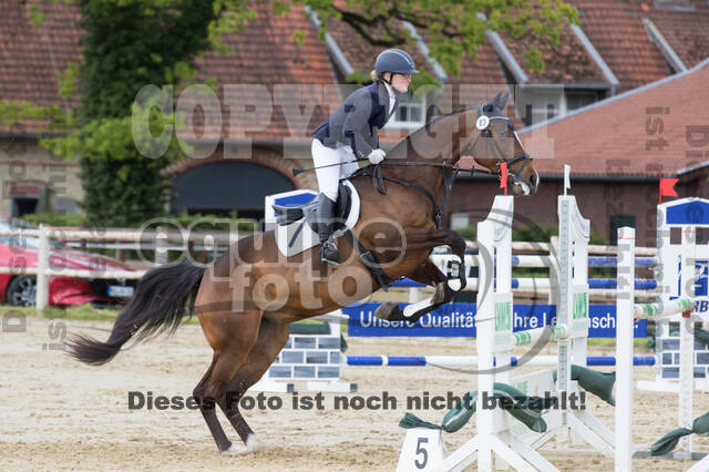 Sterne über Münster 2019 - CCI***S