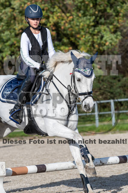 IGV Lehrgang der Sieger der Cups mit Frank Ostholt