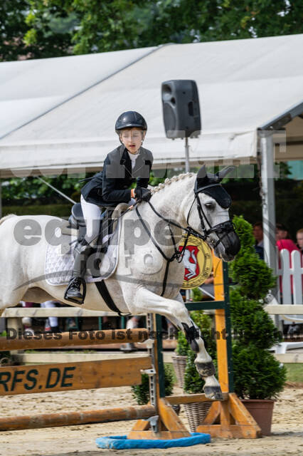 Goldene Schärpe 2021 - Ponys
