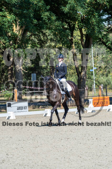 Kronenberg - De Peelbergen (August 2020)