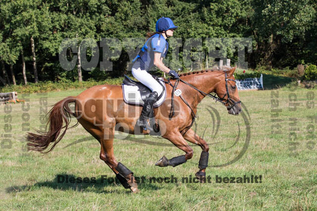 Vielseitigkeitsturnier RSV St. Hubertus Wesel Obrighoven