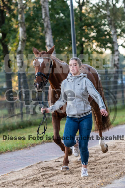 Deutsche Meisterschaft Vielseitigkeit (Luhmühlen)