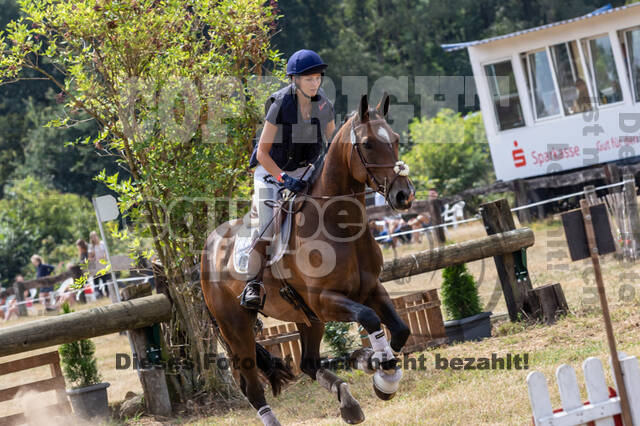 Late-Entry Vielseitigkeit Hamminkeln/Wesel (01.+02.08.2020)
