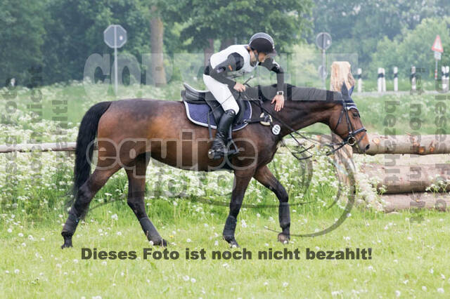 Vielseitigkeitsturnier ZRFV von Lützow Hamminkeln