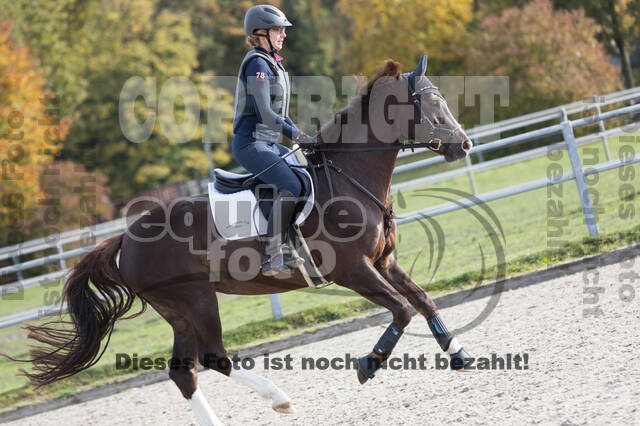 IGV Lehrgang der Sieger der Cups mit Frank Ostholt