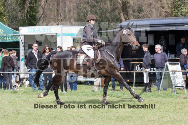 Frühjahrsvielseitigkeit RV Seydlitz Kamp
