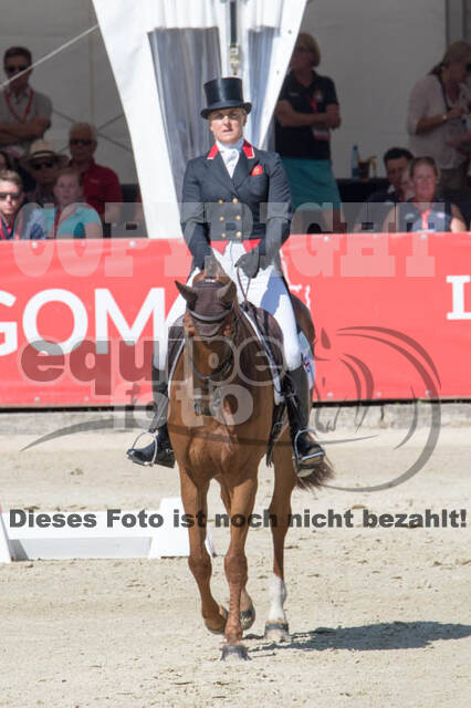 FEI European Championship Eventing 2017