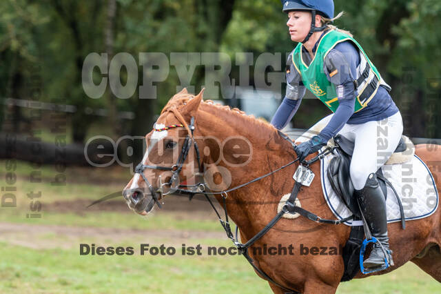 Vielseitigkeit RSV Wesel Obrighoven (26.+27.09.2020)