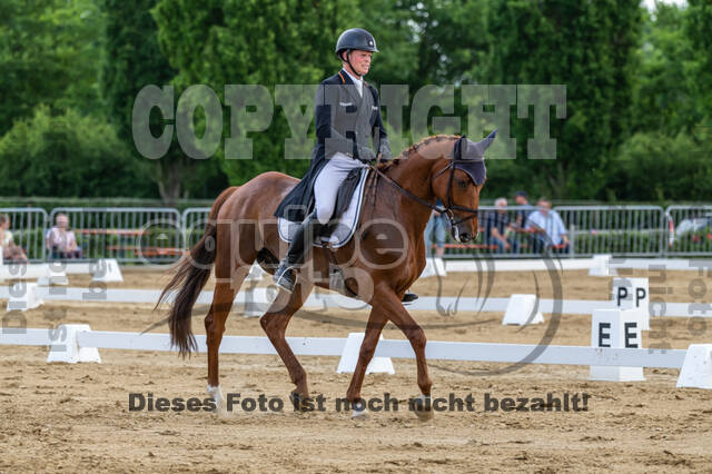 Westerstede Horse Trials 2021
