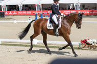 FEI European Championship Eventing 2017