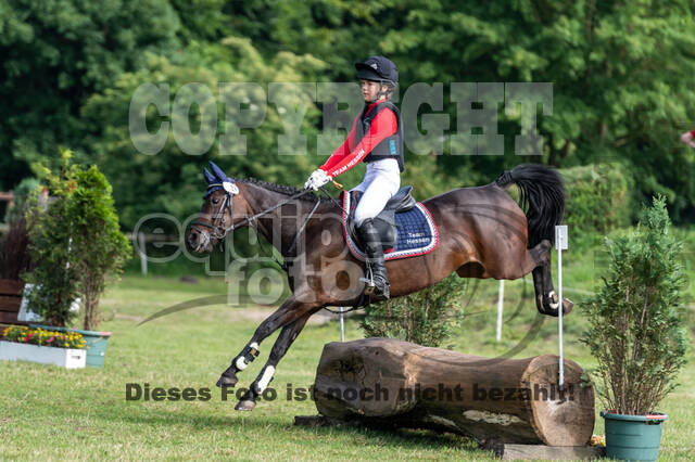 Goldene Schärpe 2021 - Ponys