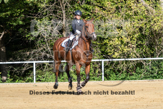 RFV Dinslaken-Hiesfeld (Herbstturnier)