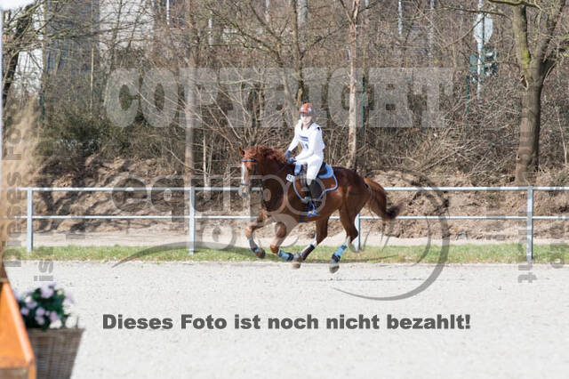 Eventing Langenfeld 2018