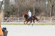 Eventing Langenfeld 2018