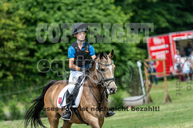 Goldene Schärpe 2021 - Ponys