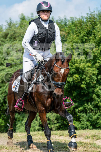 Goldene Schärpe 2021 - Ponys