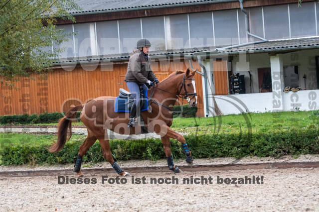 Vielseitigkeitslehrgang mit Jürg Kurbel (9.+10.11.2019)