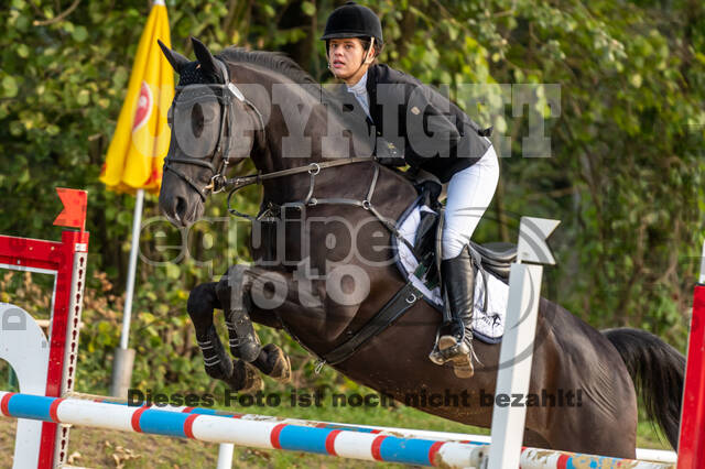 RFV Dinslaken-Hiesfeld (Herbstturnier)