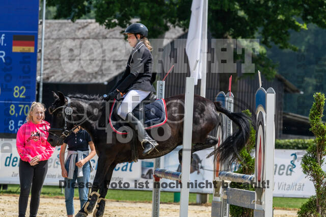Goldene Schärpe 2021 - Ponys