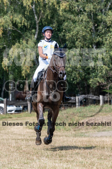 Late-Entry Vielseitigkeit Hamminkeln/Wesel (01.+02.08.2020)