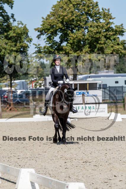 Kronenberg - De Peelbergen (August 2020)