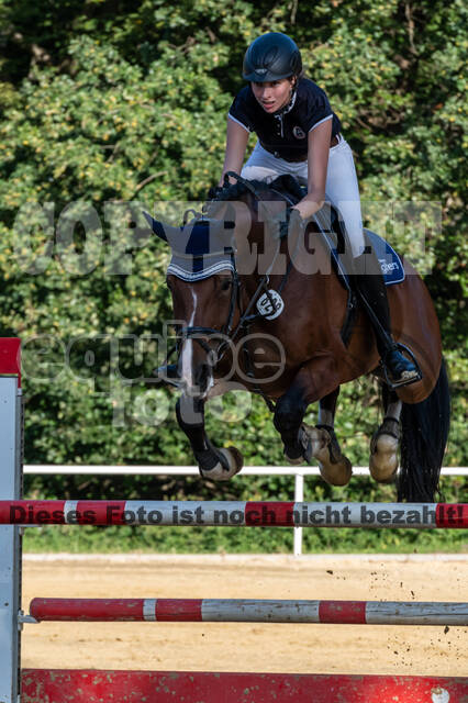 RFV Dinslaken-Hiesfeld (Herbstturnier)