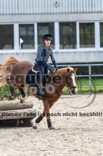 IGV Lehrgang der Sieger der Cups mit Frank Ostholt
