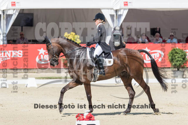 FEI European Championship Eventing 2017