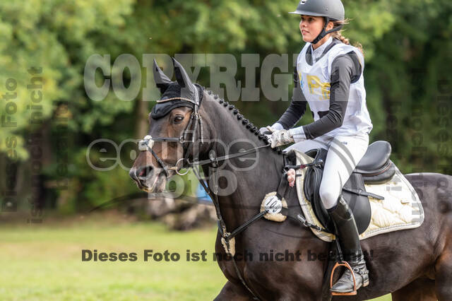 Vielseitigkeit RSV Wesel Obrighoven (26.+27.09.2020)