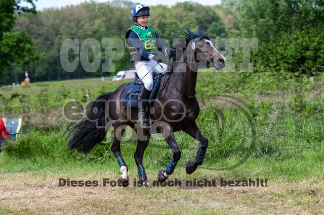 Westerstede Horse Trials (10.-13.06.2021)