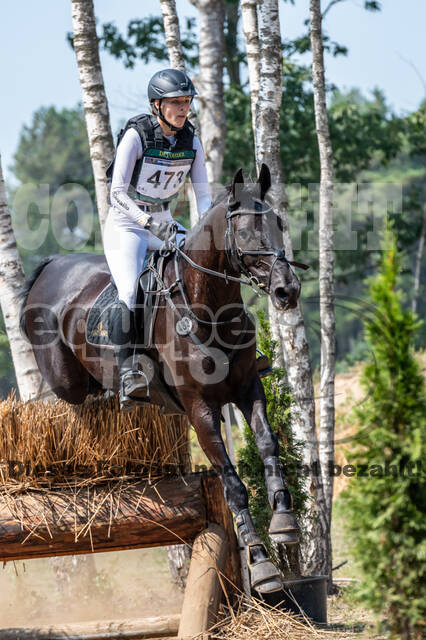 De Peelbergen (August 2020)