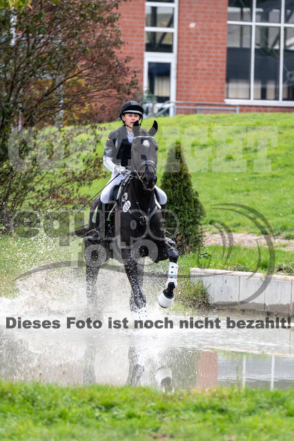 Goldene Schärpe 2020 - Pferde