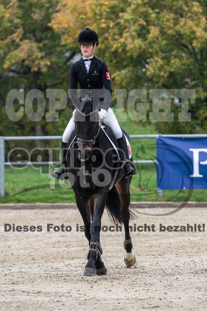 Goldene Schärpe 2020 - Pferde