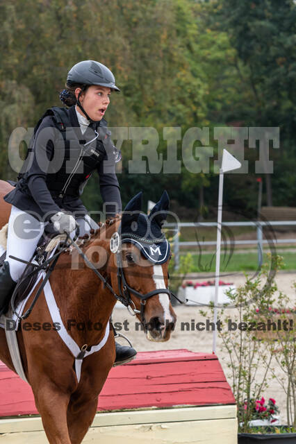 Goldene Schärpe 2020 - Pferde