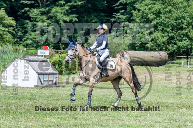 Goldene Schärpe 2021 - Ponys