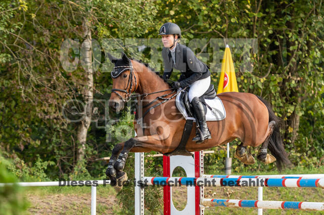 RFV Dinslaken-Hiesfeld (Herbstturnier)