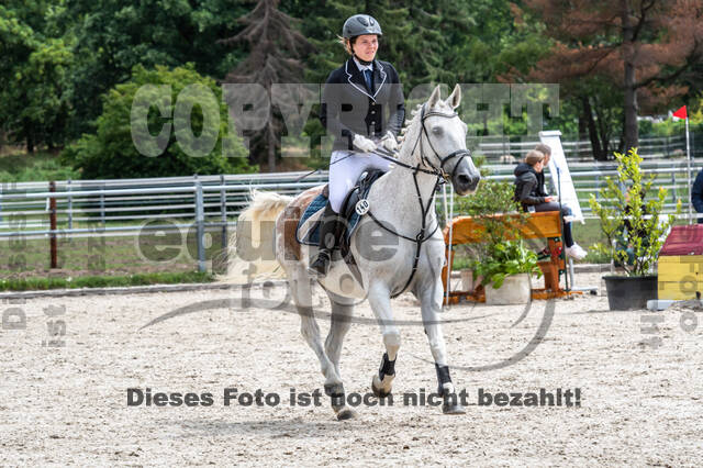 Late-Entry-Vielseitigkeit Langenfeld (06.+07.07.2020)