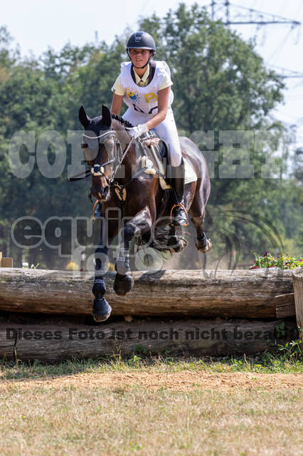 Late-Entry Vielseitigkeit Hamminkeln/Wesel (01.+02.08.2020)