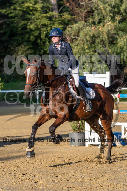 RFV Dinslaken-Hiesfeld (Herbstturnier)
