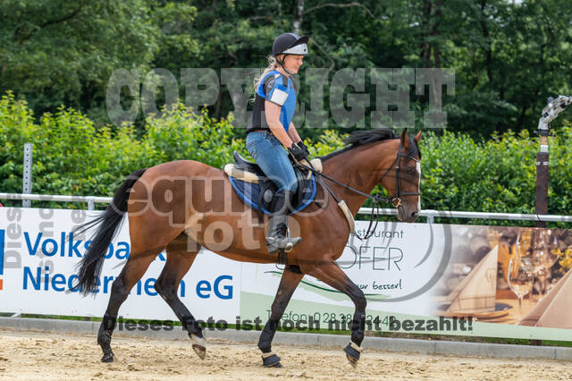 Hunter Geländetraining 10.07.2021 (Sonsbeck)